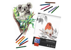 Tekenblok Oxford Drawing A4 40 vel 160 gram