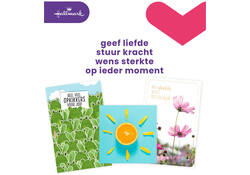 Wenskaart Hallmark navulset beterschap/sterkte 12 kaarten