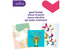 Wenskaart Hallmark navulset blanco 8 kaarten
