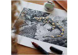 Tekenset rOtring Isograph college 0.25mm, 0.35mm en 0.5mm set à 3 stuks