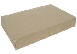 Cateringdoos IEZZY 46cm plasticvrij bruin 10 stuks