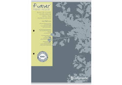 Cursusblok Clairfontaine Forever Calligraphe A4 ruit 5x5mm 2-gaats 200 pagina's 70gr grijs