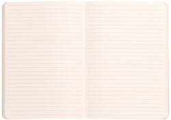 Notitieboek Rhodia A5 lijn 80 vel 90gr celadon