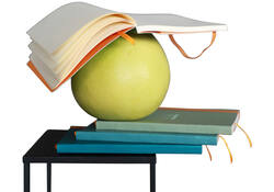Notitieboek Rhodia A5 lijn 80 vel 90gr celadon
