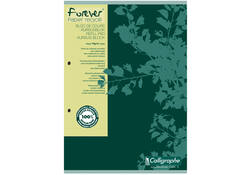 Cursusblok Clairfontaine Forever Calligraphe A4 lijn 2-gaats 200 pagina's 70gr groen