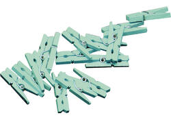 Knijpers Haza mini mintgroen zak à 20 stuks