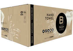 Handdoek BlackSatino GreenGrow PT30 V-vouw 2-laags 250x230mm 15x214vel naturel 275890