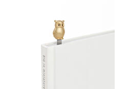 Boekenlegger Metalmorphose uil