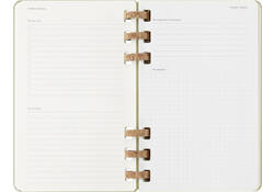 Agenda 2024/2025 Moleskine 12M Academic planner 7dagen/2pagina's large hc crush kiwi