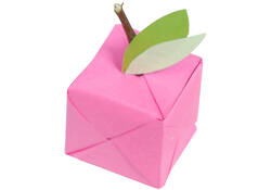 Origami Clairefontaine Neon 20x20cm set à 100 vel 70gram assorti