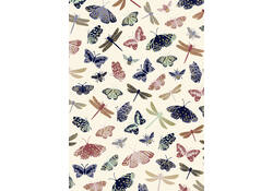 Inpakpapier Stewo Classic Bouquet 200x70cm assorti