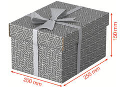 Opberg- en geschenkdoos Esselte home klein 200x150x255mm gr 3 st