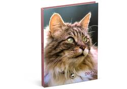 Agenda 2025 Lannoo My Favourite Friends 7dagen/2pagina's