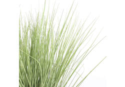 Kunstplant Mica Gras in plastic pot Ø14,5cm 68x50cm