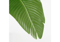 Kunstplant Mica Bananen boom in plastic pot 180x30cm