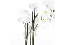 Kunstplant Mica Phalaenopsis orchideeën wit in plastic pot 79x51cm