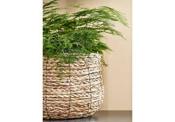 Plantenmand Mica Avalon zeegras rond lichtbruin 26x26cm