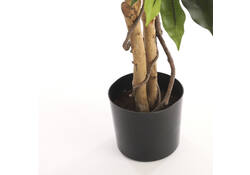 Kunstplant Mica Ficus in plastic pot 180x100cm