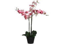 Kunstplant Mica Phalaenopsis orchideeën roze in plastic pot 79x51cm