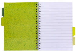 Projectboek Pukka Recycled B5 lijn 4-tabs 200 pagina's 80gr groen