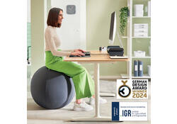 Actieve zitbal Leitz Ergo 55cm anti-rol donkergrijs