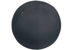 Actieve zitbal Leitz Ergo 65cm anti-rol donkergrijs