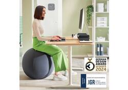 Actieve zitbal Leitz Ergo 75cm anti-rol donkergrijs