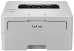 Printer Laser Brother HL-L2865DW
