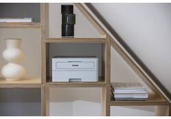 Printer Laser Brother HL-L2865DW
