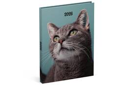Agenda 2026 Lannoo 110x150 My favourite friends 7dagen/2pagina's cats