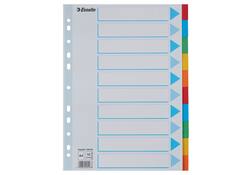 Tabbladen Esselte Standaard A4 10-delig karton 11-rings met voorblad assorti