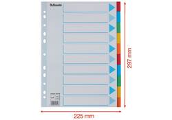 Tabbladen Esselte Standaard A4 10-delig karton 11-rings met voorblad assorti