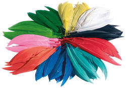 Indianen veren Folia assorti
