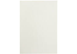 Kopieerpapier Papicolor A4 100gr 12vel anjerwit