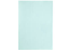 Kopieerpapier Papicolor A4 100gr 12vel zeegroen