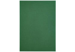 Kopieerpapier Papicolor A4 100gr 12vel dennengroen