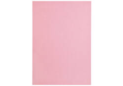 Kopieerpapier Papicolor A4 100gr 12vel babyroze