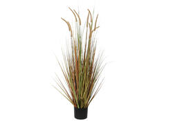 Kunst Pluimgras Dogtail 120cm groen
