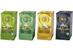 Thee Lipton Exclusive groene thee matcha 25x2gr