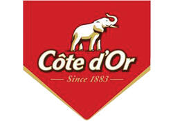 Chocolade Cote d'Or mignonnette melk 24x10 gram