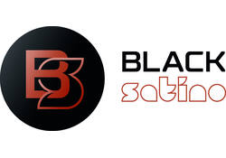 Luchtverfrisser BlackSatino AR30 Qlash 225ml 332240