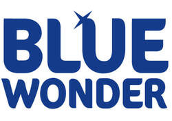 Allesreiniger Blue Wonder spray 750ml