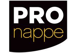 Servet Pronappe 1/4 vouw 2-laags 380x380mm 40 vel bordeauxrood