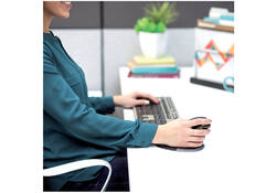 Ergonomische Muis Fellowes Penguin draadloos large