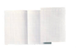 Accountantspapier Djois Atlanta A4 14 kolommen 100vel