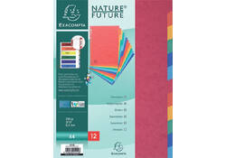 Tabbladen Exacompta 225x297mm 11-gaats 12-delig glanskarton