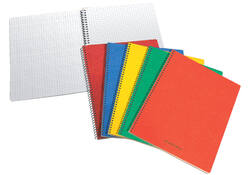 Schrift Aurora 80x135mm ruit 5x5mm 200 pagina's 60gr assorti