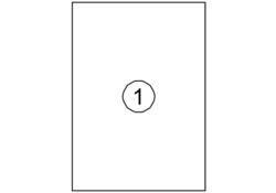Etiket Avery DP001 210x297 wit 100 stuks