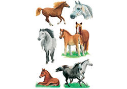 Etiket HERMA 3553 paarden rassen