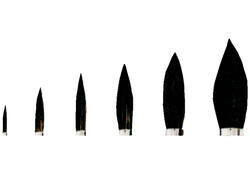 Penseel Pelikan 23 nr 10